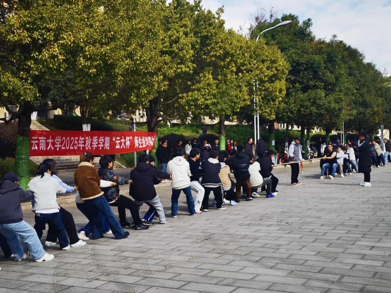 九球体育客户端