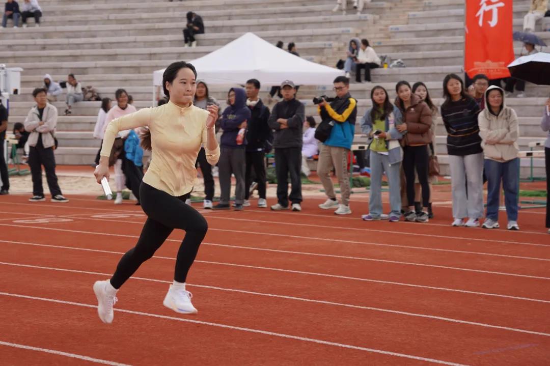 九球体育赛事资讯平台