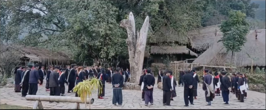九球体育核心通道