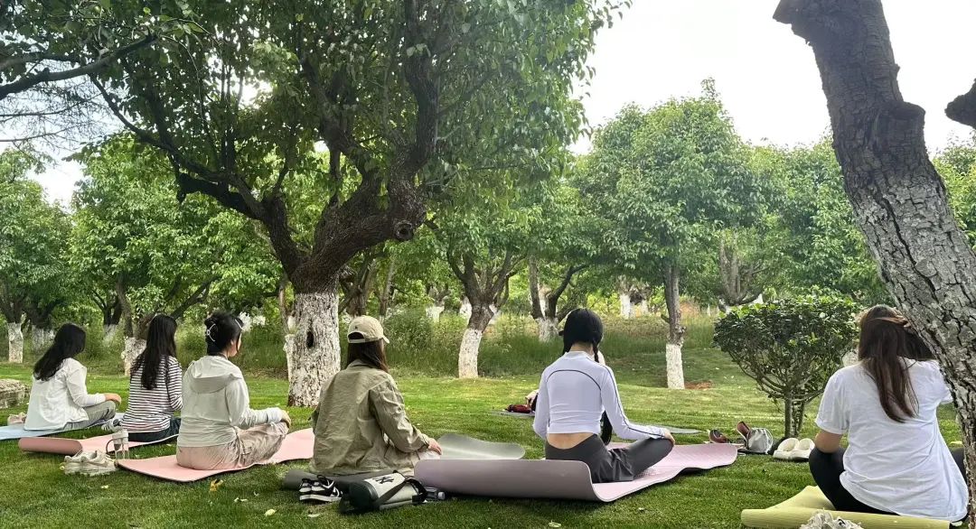 九球体育体育频道