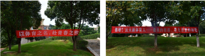 九球体育核心通道