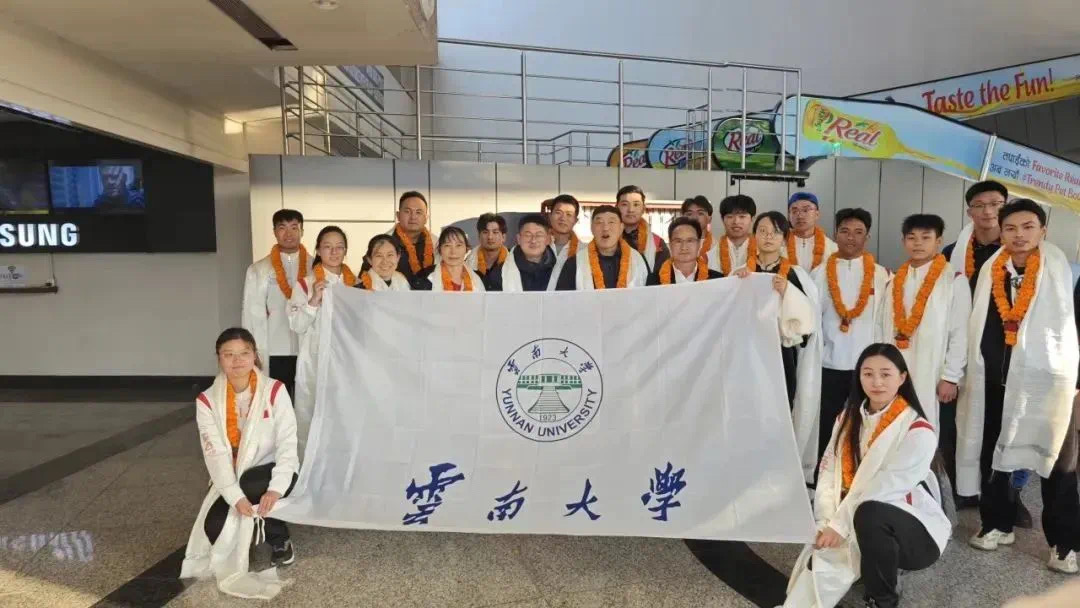 九球体育APP下载
