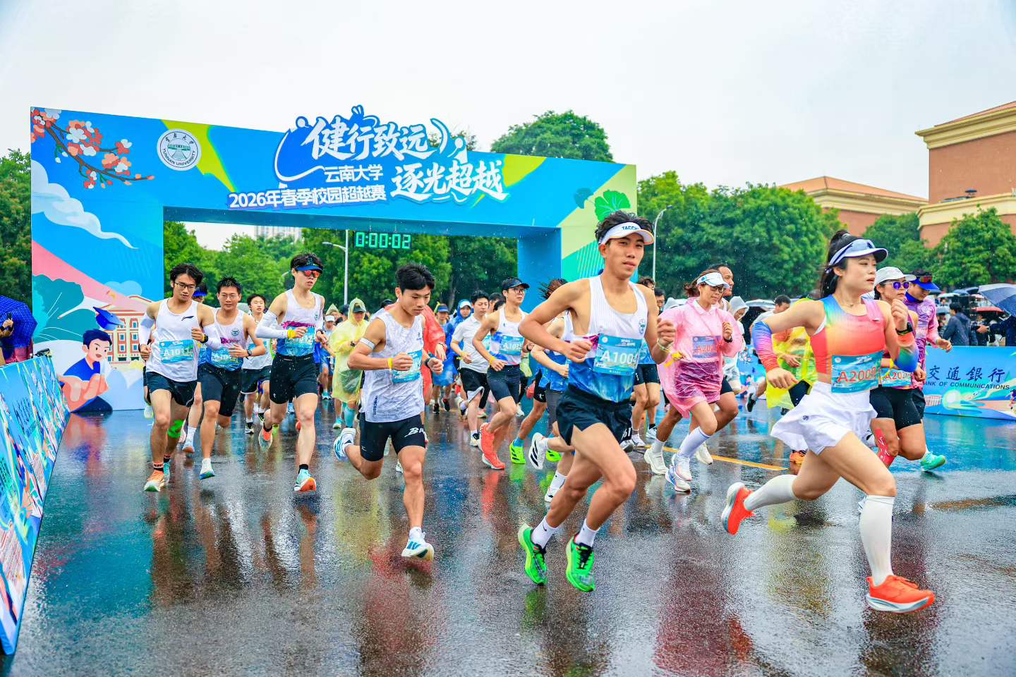 九球体育平台图片
